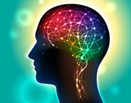 Colorful brain image