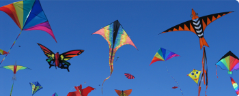 Kites flying pic