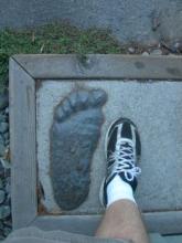 A man’s foot pictured next to an impression of Bigfoot’s footprint to show the size comparison.  Bigfoot’s is bigger.