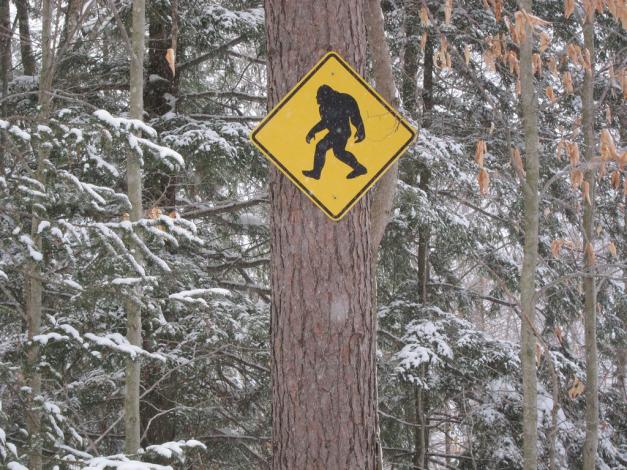 A yellow caution sign with a black silhouette of Bigfoot posted on a snowy tree.