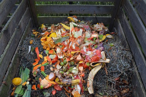 Photo of compost bin full of plant and food waste, specifically fruit and vegetable scraps such as bell pepper innards and banana peels