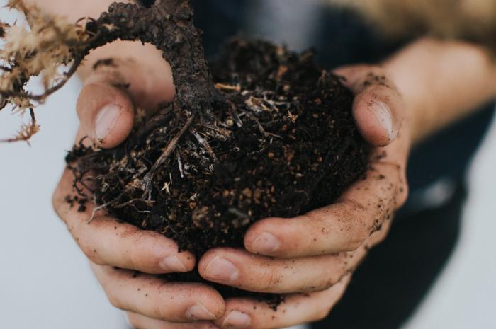 Close up of a pile of dirt being held in someone's hands
